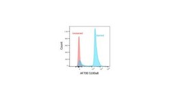 S100A8 Antibody (63N13G5) - BSA Free, Novus Biologicals 0.025 mg | Buy Online | Novus Biologicals | Fisher Scientific